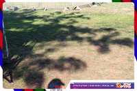 kids-herzliya-2026-start-1